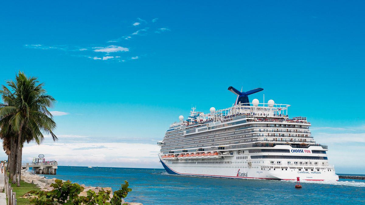 Major cruise company bans popular travel accessory causing confusion among passengers