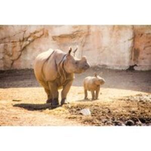 4* Benidorm Beach Holiday: Bed & Breakfast