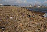 Spain’s ‘Black Flag’ awards for beach pollution includes one for flood disaster waste in Valencia