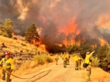 Andalucia firefighters praised after Malaga emerges from wildfire season with just one fire larger than one square kilometre 