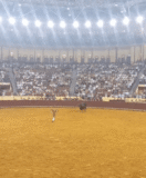 WATCH: Young bullfighter dies in horror goring at Lisbon arena debut as thousands watch