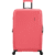 American Tourister DashPop Large Check-in Sugar Pink
