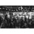 Comedy Show Entry & Pint Each for Up to 4 at The Benidorm Bar, Liverpool | Wowcher