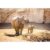 4* Benidorm Beach Holiday: Bed & Breakfast, Flights & Terra Natura & Aqua Natura Tickets Included | Wowcher